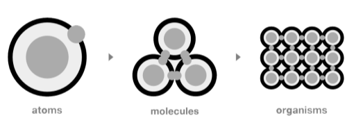 Atoms, Molecules, Organisms